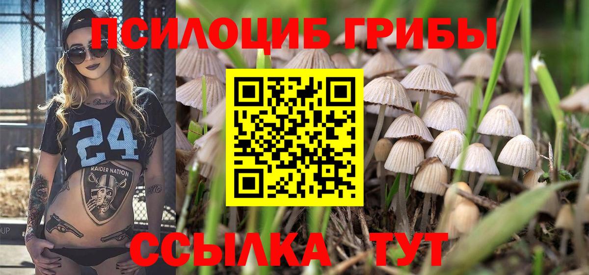 Псилоцибиновые грибы прущие грибы  Вход с VPN  Фурманов 