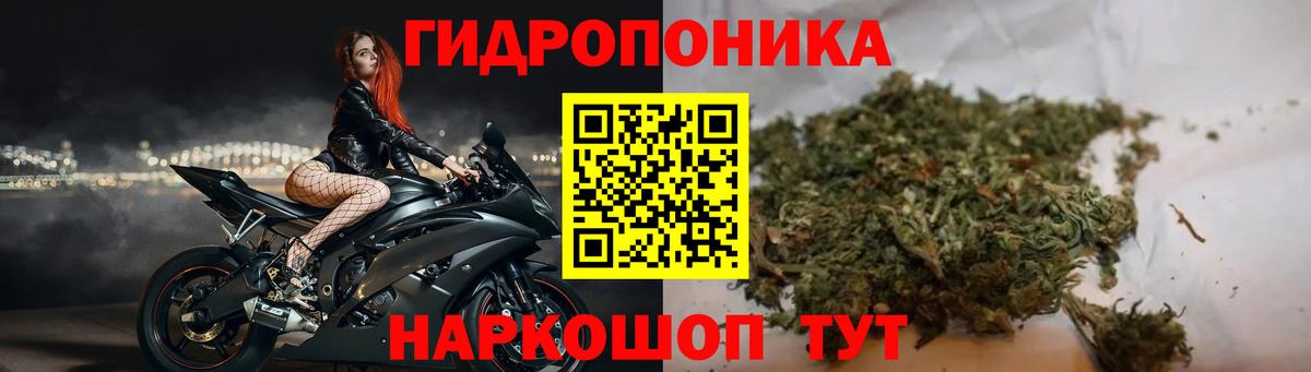 Фурманов  Канабис THC 21%  Вход с VPN  Бошки Шишки гибрид  Марихуана марихуана 